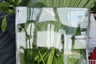 Reflections Wedding Officiant - 44