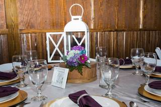 Daisies n' Such Wedding Designs and Consulting - 12