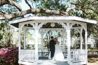 Photo Harp Weddings - 142