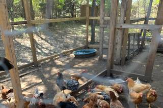 Blose Barn & Garden - 24
