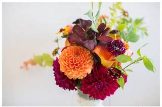 Bird Watching & Pruning Floral - 37