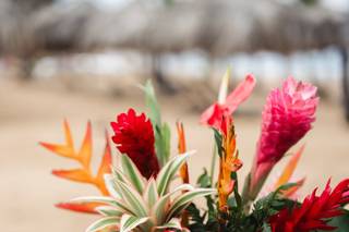 Vlady Flowers - 170