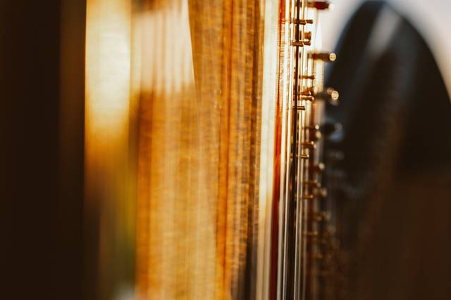 Sophie Graf, Harpist 2