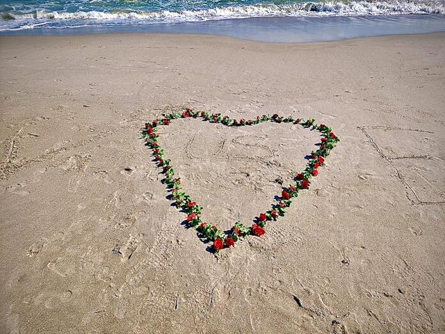 All 4 Love By Paula - 4