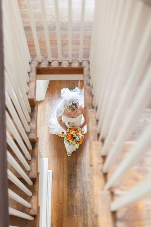 Katie DeLorme Photography LLC - 2