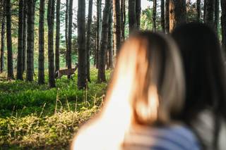 Andy Gagne Photography - 7