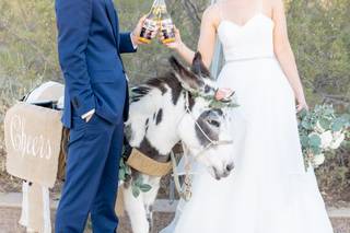 Haul N Ass Productions - 159