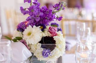 Dovely Event Planning - 6