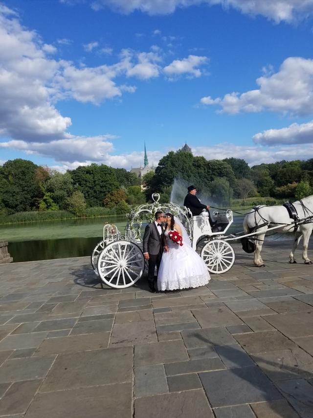 Dream Horse Carriage Company - 2