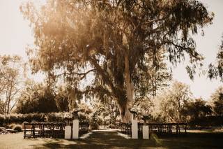 Galway Downs by Wedgewood Weddings - 28