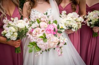 Damselfly Designs - 56