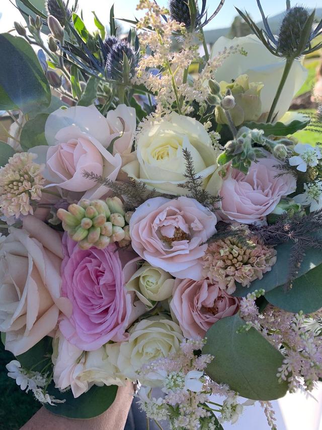 Wild Poppy Florists - 2