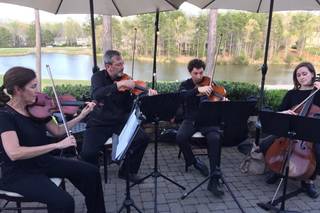 Arioso Strings - 12