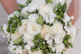 Sugar Snap Events - 13