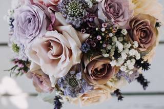 Rose & Blossom - 30