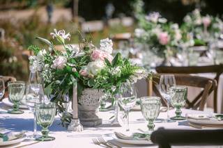 Vanda Floral Design - 27