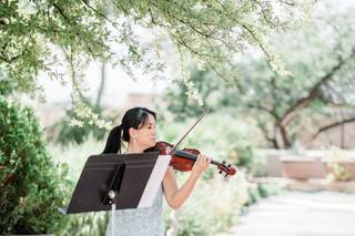 Arethusa Strings - 15