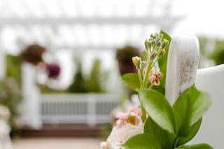 Blooming Flowers - 39