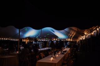 The Revel Rose - 16
