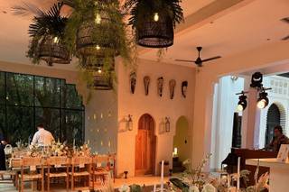 Ambre et Epices Jungle Venue - 6