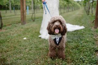 Mindy Joy Photography - 7