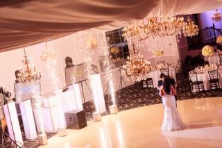 Premier Digital Photography & Wedding Cinema - 29
