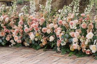 The Painted Primrose - 13