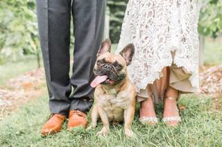 Lauren Dobish Photography - 46