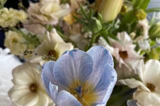 Goldenrod Floral Design - 55