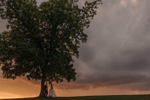 David McCandless Photography - 1