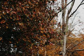 Caroline Gilbody Photography - 13
