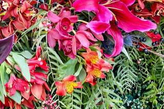 Petaloso - 11