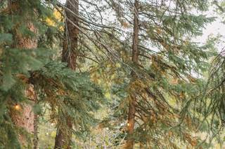 Blackstone Rivers Ranch 4