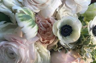 Palette of Petals - 34