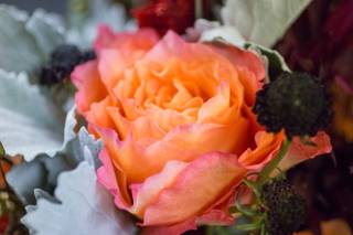 Floral Accents - 14