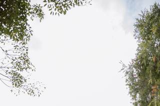 LuckEleven Events - 14