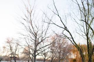 Cureton Photography - 6