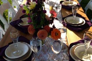 Celebration Rentals - 10