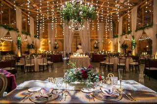 Laurie D'Anne Events - 12