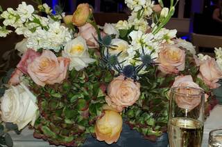 Jen Anderson Designs - 28