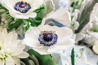 J. Santini Photography - 14