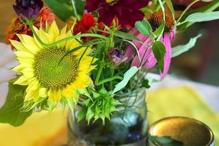 Sweethaven Farm & Flowers - 26