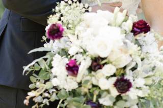 Shane Long Photography - 27