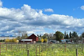 Long Meadow Ranch - 12