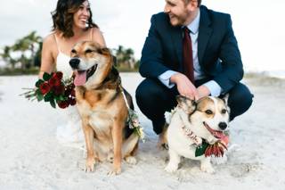 Photos For Hearts Photography - 113