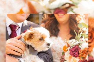 Your Fairy Godmother Weddings & Events - 9