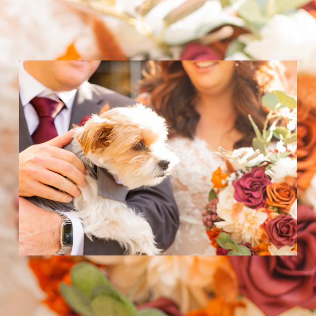 Your Fairy Godmother Weddings & Events - 3