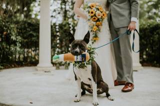 Ashley Nicole Johnson Photography - 6