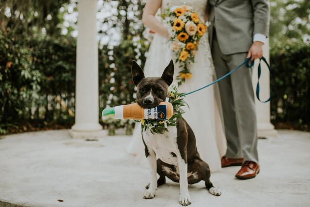 Ashley Nicole Johnson Photography - 3