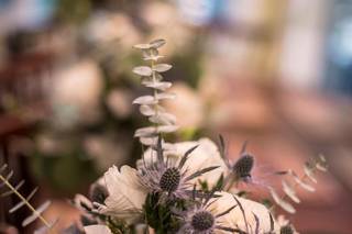 Perkasie florist - 50